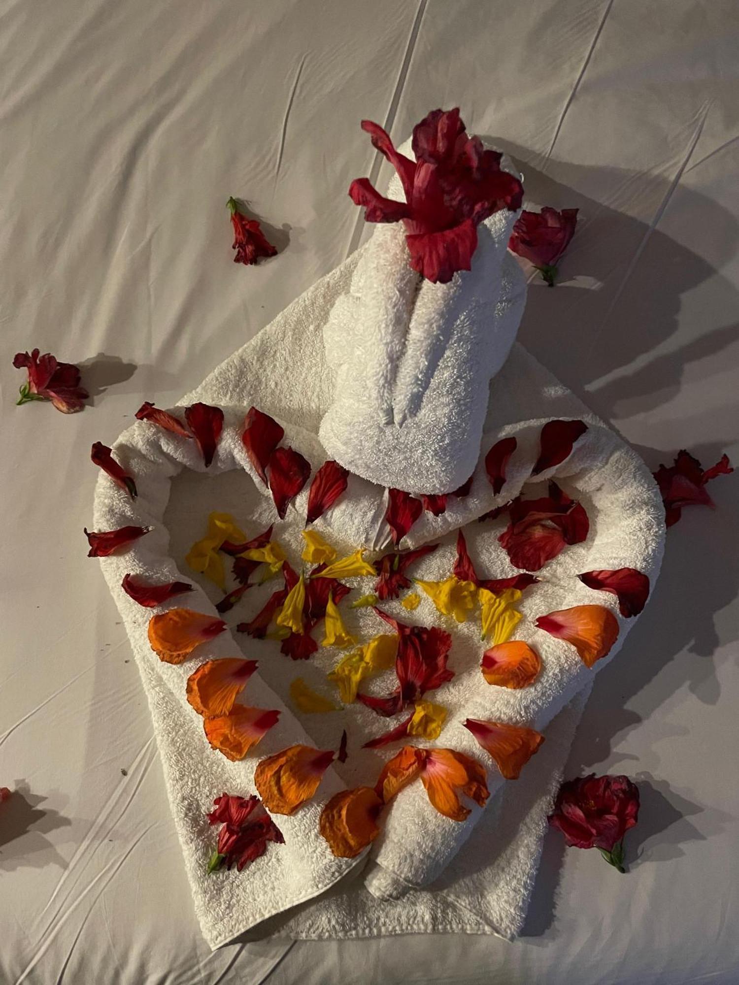 Hotel Vitan273 بوخارست المظهر الخارجي الصورة